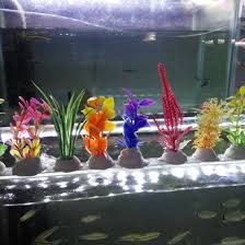 Untuk menjaga air aquarium tetap jernih diperlukan pemasangan alat filter, serta dilengkapi dengan beberapa jenis tanaman air lainnya sebagai pelengkap. Jual Produk Tanaman Hias Untuk Aquarium Termurah Dan Terlengkap Agustus 2021 Bukalapak