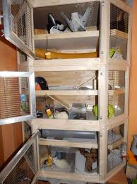 Sie haben bemerkt, dass sich ratten in ihrem haus oder ihrer wohnung aufhalten? Das Gehege Und Die Einrichtung Nagervermittlung Im Grossraum Stuttgart