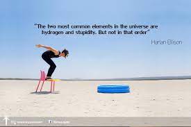 If you are always trying to be normal, you will never know how amazing you. Change Management Funny Quotes Quotesgram