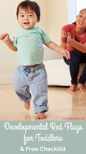 Image result for Developmental Red Flags