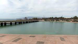We did not find results for: Playas De El Toyo Retamar 2021 All You Need To Know Before You Go With Photos Retamar Spain Tripadvisor