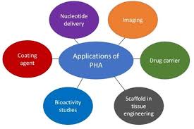 The Synthesis, Characterization and Applications of Polyhydroxyalkanoates  (PHAs) and PHA-Based Nanoparticles
