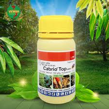 Cabrio Top 600WG.