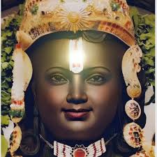 Let's welcome our new members! Savita Kakkar, Shava Sasan, Ritu Arora,  Sukwinder Singh, Sudershan Gupta, Ramesh Chander, Amit Chhibber, Anu  Bhatia, Tarun Rajput, Ramesh Kumar, Ishu Mahajan, Santosh Tuli, Asha Gupta,  Pawan