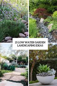 See the new trends report: 25 Low Water Garden Landscaping Ideas Digsdigs