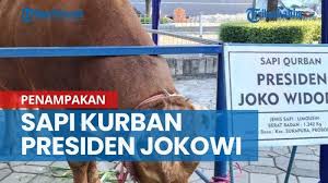 Maybe you would like to learn more about one of these? Https Kaltim Tribunnews Com 2021 08 03 News Video Manfaat Bawang Putih Untuk Kesehatan Dan Efek Sampingnya Https Cdn 2 Tstatic Net Kaltim Foto Bank Images Manfaat Bawang Putih Untuk Kesehatan Dan Efek Sampingnya Jpg Manfaat Bawang Putih