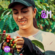 Caffè Pascucci Chile (@caffepascuccichile) • Facebook