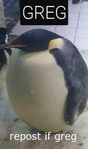 This Is Greg Say Hi To Greg R Blessed Images