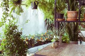 Wohnzimmer pflanzen frisch deko bilder wohnzimmer elegant von pflanzen dekoration wohnzimmer bild deko pflanzen wohnzimmer reizend von pflanzen dekoration wohnzimmer. Dekoration Wohnzimmer Innenraum Stil Grune Oko Umwelt Mit Pflanzen Nad Baum Lizenzfreie Fotos Bilder Und Stock Fotografie Image 45407062