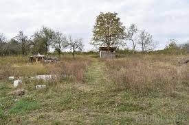 Find 59 traveler reviews, 93 candid photos, and prices for spa resorts in sambata de sus, romania. Asa Ne Invata Psd Primaria Sambata A Bagat Peste 800 000 Lei In