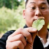 Do You Sing Twinkle?: A Story About Remarriage and New Family by Sandra  Levins