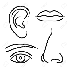 First show children where are your eyes, nose, mouth and ears. 16 Awesome Printable Noses Mouth Eyes Images Ear Picture Mouth Clipart Nose