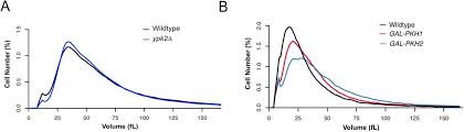 Check spelling or type a new query. Cell Size And Growth Rate Are Modulated By Torc2 Dependent Signals Biorxiv