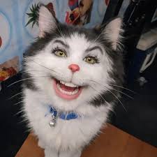 Dudewithcoolusername added a new photo.