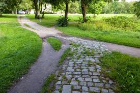 Der garten ist 300 m² groß. Kringelgrabenpark In Der Sudstadt Erhalt Neue Wege Rostock Heute