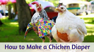 This simple diy dog diaper is just an alternative or optional just in case of emergency and you run out of vlog tittle: How To Make A Chicken Diaper Quickest Easiest Way For Diy Diaper