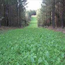 Sweet Spot Deer Food Plot Mix Southern States Food Plots For Deer Deer Food Types Of Hunting