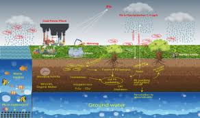 The best shower grab bar placement varies depending on the design, but the typical grab bar height for standard, horizontal handles in a shower is between 33 and 36 inches from the floor. A Comprehensive Review Of Biogeochemical Distribution And Fractionation Of Lead Isotopes For Source Tracing In Distinct Interactive Environmental Compartments Sciencedirect