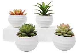 There are 2007 fake cactus for sale on etsy, and they cost 11,27 $ on average. Wrought Studio 4 Artificial Assorted Cactus Succulent In Pot Set Reviews Wayfair