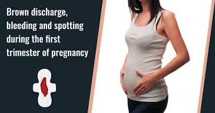 Check spelling or type a new query. Problems During First Trimester Healofy
