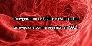 Maybe you would like to learn more about one of these? Effets Du Co2 Sur L Homme Oxygenation Dilatation Et Sedation
