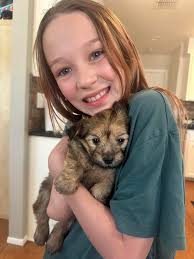 Rosie (formless known as DTF) is a week into our family and she is the best  puppy we have had. Sweet, cuddly, feisty and sleeps through the night. Her  2 lbs doesn't