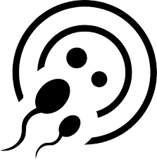 Icon representing fertilization, IVF, and fertility care