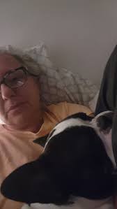 Brave Boi. 12 years old showing signs of IVDD. Bowed back and not wanting  to move. Vet called so. I am defeated. I am done. Pray for him he needs it.