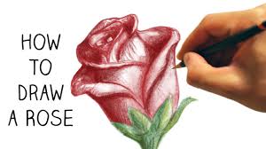Maybe you would like to learn more about one of these? How To Draw A Rose Step By Step Narrated Easy Youtube