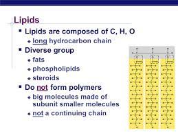Check spelling or type a new query. Lipids Lipids Are Composed Of C H O Long Hydrocarbon Chain Diverse Group Fats Phospholipids Steroids Do Not Form Polymers Big Molecules Ppt Download