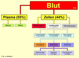 Bestandteile Des Blutes Biologie