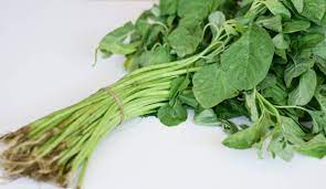Jakarta selatan rumah sayur indonesia. 67 Bayam Stock Photos Free Royalty Free Bayam Images Depositphotos