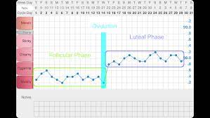 Basal Body Temperature 101 Bbt Chart Basal Body Temperature Basal Body Temperature Chart