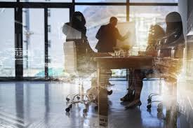What Is The Role Of The Executive Committee Diligent Insights