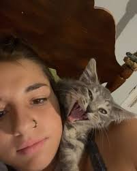 tebow turns 2 today🥹, he is the best cat to ever live. a year and a half  ago i went to pet smart and saw Tebow climbing up his cage and asked if i  could hold him. little did i know God had sent me ...