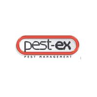 Play as the pest extermination robot, p.o.e. Pest Ex Termite Pest Control Linkedin