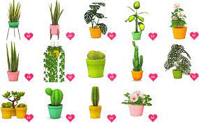 9k Follower Gift Ts4 Plants Galore 14 Meshes Recolored And X2f Or Converted They All Come In 5 Colors By Eversims My Conv Sims 4 Sims 4 Mm Sims 4 Game