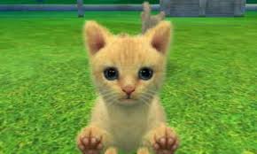 While we as humans pride ourselves on developing our own rich cultures, we often forget that cats indulge in rules all their own. Smashing Ideas Assist Trophy Nintendog Cat