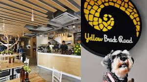 Yellow brick road menu & prices. Best Cafes Bars And Restaurants In Kl That Are Pet Friendly