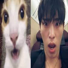 Platicando sobre mi película favorita con amigos: Star Wars