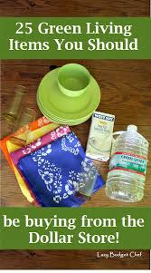 Great selection & friendly cashiers. 25 Green Living Items You Can Buy At The Dollar Store To Save Money