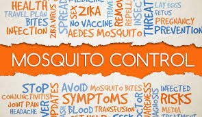 I never really pushed or cared about specific dates for quarterly treatment in the past. Mosquito Control Services Baton Rouge Arrow Termite Pest Control