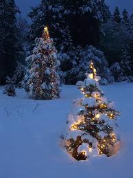Christmas Tree Lights In The Snow Christmas Tree Lighting Christmas Lights Christmas Tree With Snow
