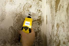 A damp basement smells and is uncomfortable, but it's also prone to mold and fungal growth that can cause health problems. What Is The Ideal Basement Humidity Level To Prevent Mold