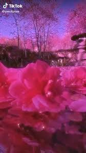 Denenecek Projeler Panosundaki Pin