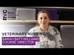 Veterinary Nursing Offer Holders
