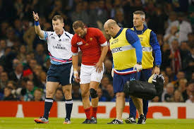 C'est juste l'équipe qui a failli aller en finale de coupe du monde à 14 contre 15 pendant tout le match de demi finale et qui a. France Rugby World Cup 2015 Coupe Du Monde De Rugby 2019