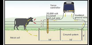 Getting shocked by a modern energizer when you get careless won't kill you. Gauteng Electric Fencing What Happens If You Don T Ground An Electric Fence