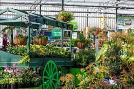 Palmers Bethlehem Palmers Garden Centre Www Palmers Co Nz Palmers Garden Centre Garden Center Plants