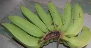 Pisang tanduk umumnya dikonsumsi dengan cara diolah menjadi pisang goreng atau direbus. 9 Jenis Jenis Pisang Di Indonesia Dan Aneka Olahan Makanannya